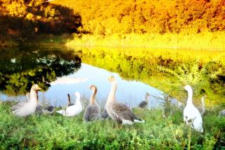 Blanco Guest Farm - Holiday Resort - 1