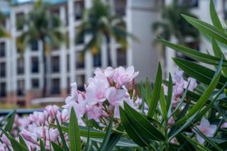 Great Bay Condominiums located at The Ritz-Carlton Club, St Thomas - St Thomas - 5