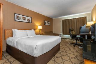 Comfort Inn Val D'Or - Val-d'Or - 8