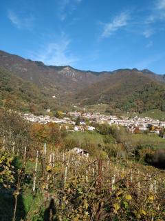 B&B Casa Lisa - Miane - 8