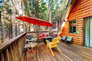 Under The Trees - Camp Connell - 3