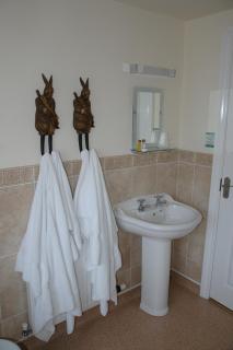 The Down Inn - Bridgnorth - 9