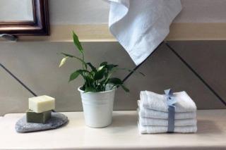 Unique - Spacious Studio with rooftop / Thissio - Atene - 8