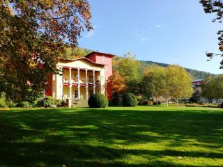 Parkhotel Bad Schandau mit SPA - Bad Schandau - 8