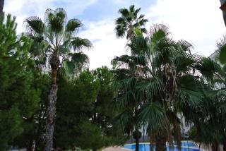 Beach Flat Albir,Esmeralda - Albir - 9