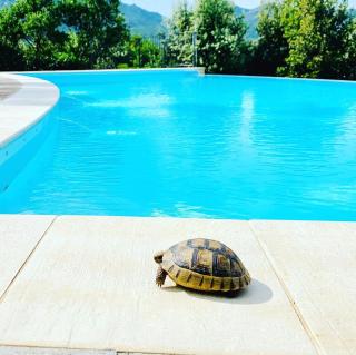 Villa Anastasia - Cugnana - 5