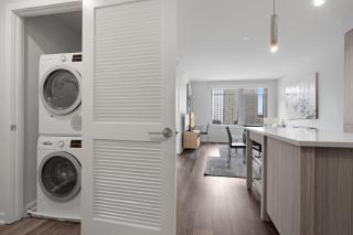 Global Luxury Suites Crystal City - 6