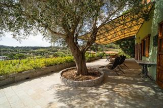 Villa Medina - Goelba - Porto Azzurro - 5