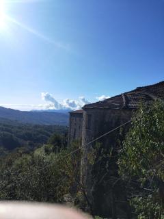 IL NIDO VERDE - - 5