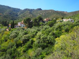 Apartment La Rectoria II by Interhome - La Vall de Santa Creu - 2