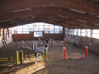 Pension & Reitschule Fuchsenhof - Seebarn - 4