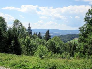 Holiday Home Kreuzbuche by Interhome - Viechtach - 4
