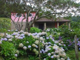 Sitio na Serra da Mantiqueira Águas do Canjarana - 3