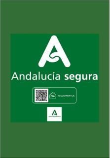 Holidays2Malaga Sebastian Souviron High Speed WIFI - Málaga - 9