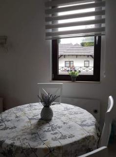 Vila Irina - Apartman Miloš - 1