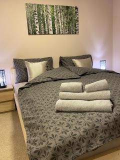 Apartamenty W Brzozowym Gaju - Kudowa-Zdrój - 0