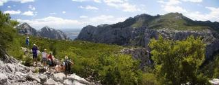 Apartment in Starigrad-Paklenica 6770 - Punta - 1