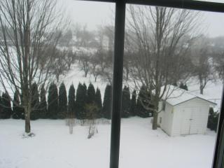 Arnica Bed & Breakfast - 7
