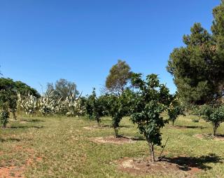 Belalie Wines - Jamestown - 5