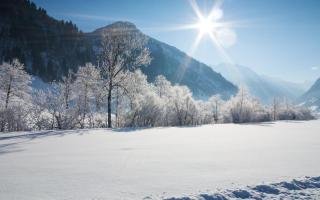 Hotel Wasserfall - including Summercard - 7