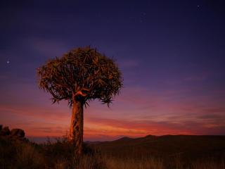 Kamieskroon Cosy Cottage - 6