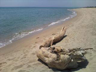 Agriturismo La Casa Di Botro - 2