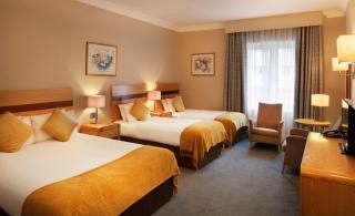 Green Isle Hotel, Dublin - Clondalkin - 5