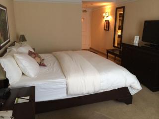 Hotel Vallea Bromont, Tapestry Collection by Hilton - Bromont - 4