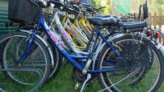 Cesenatico Camping Village - Cesenatico - 5