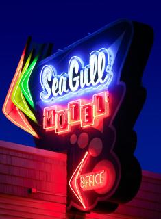 Sea Gull Motel - Wildwood - 8