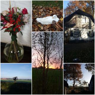 Grenier's - Punthorst - 5