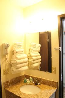Lone Tree Inn - Sidney - 5