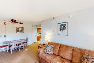 Mountainside Resort III - Stowe - 9