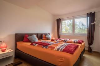 Ferienwohnung Steinhilber 1 - Eriskirch - 1