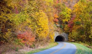 Holiday Inn Asheville - Biltmore West by IHG - Asheville - 2