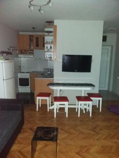 APARTMAN MARKOVIC - Loznica - 0