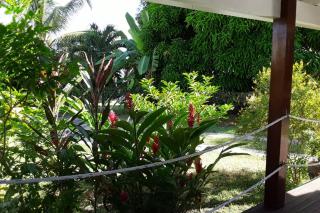 Gîte Cumaru dans jardin tropical Sainte-Anne - Sainte-Anne - 1