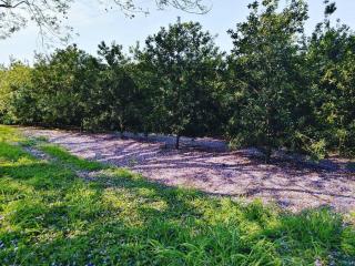 Idle & Wild Chalet - 6