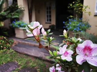 Idle & Wild Chalet - 4