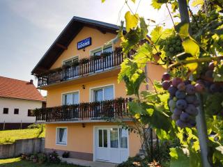 Guest House Toic - Korenica - 0