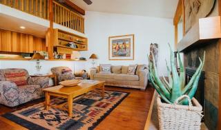 1123 Indian Paintbrush - Wilson - 6