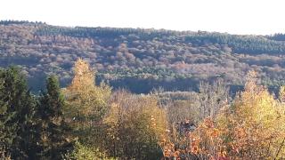 Le Coeur sur la Main - 2