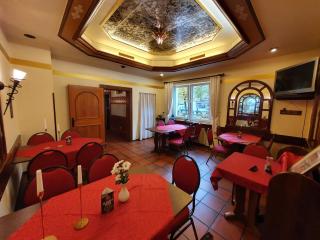 Hotel Neuenburger Hof - Neuenburg am Rhein - 4