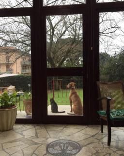 B&B Villa Acero - Marina di Carrara - 8