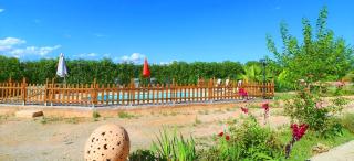 419 Finca Can Olivaret ETV2598 by Mallorca Charme - Campos - 5