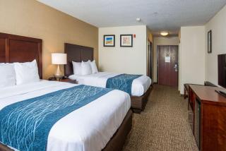 Comfort Inn Naugatuck-Shelton, CT - Naugatuck - 7
