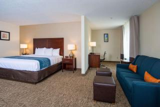 Comfort Inn Naugatuck-Shelton, CT - Naugatuck - 4