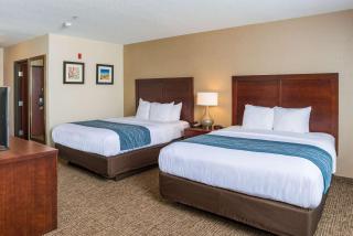 Comfort Inn Naugatuck-Shelton, CT - Naugatuck - 3