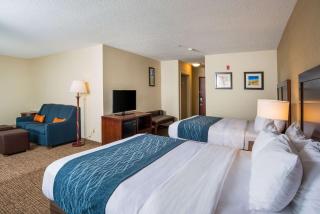 Comfort Inn Naugatuck-Shelton, CT - Naugatuck - 1