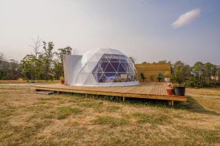 Domescapes in the Vines - Sidmouth - 4